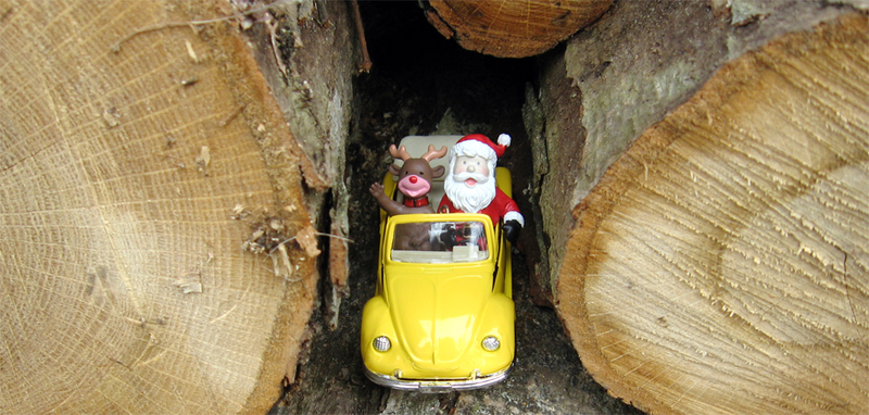 Illustration for article titled **Winners!** Holiday Photo Contest